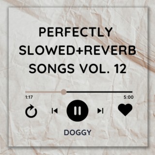 Perfectly Slowed+Reverb Songs Vol. 12
