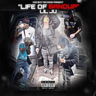 Life of Bandup