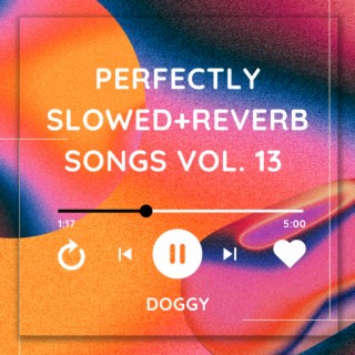 Perfectly Slowed+Reverb Songs Vol. 13