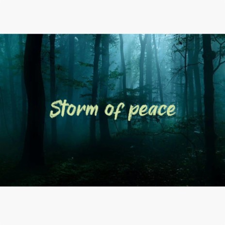 Storm of peace | Boomplay Music