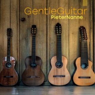 Gentle Guitar