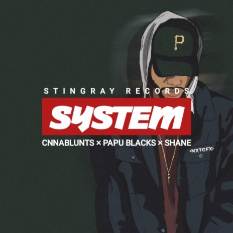 System ft. PAPU BLACKZ, Shane & Cnnabluntz | Boomplay Music