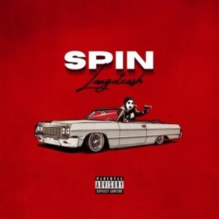 Spin