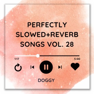 Perfectly Slowed+Reverb Songs Vol. 28