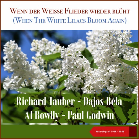 Wenn Der Weiße Flieder Wieder Blüht (From Revue: Donnerwetter, 1000 Frauen) ft. Paul Godwin mit seinen Jazz-Symphonikern | Boomplay Music