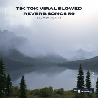 Tik Tok Viral Slowed Reverb Songs 50