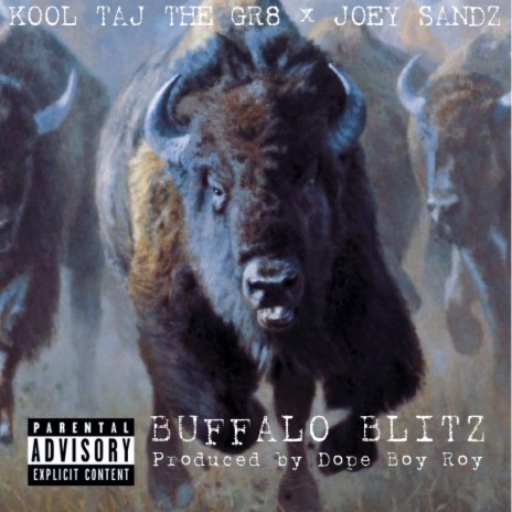 Buffalo Blitz | Boomplay Music