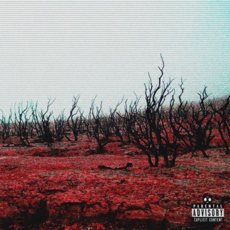 desolate prospects ft. RIPVANN | Boomplay Music
