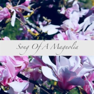 Song Of A Magnolia