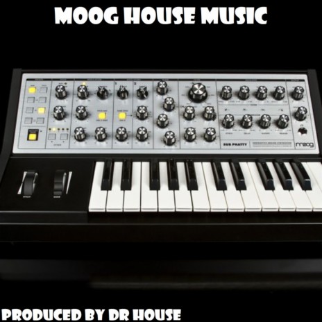 Moog House Music