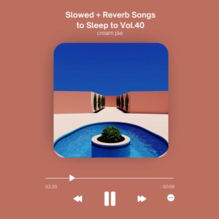 Slowed + Reverb Songs to Sleep to Vol.40