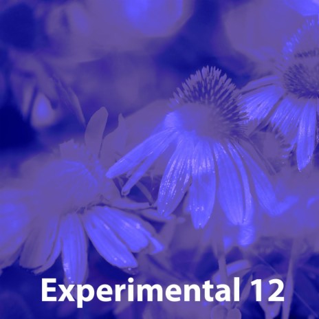 Experimental 12 | Boomplay Music