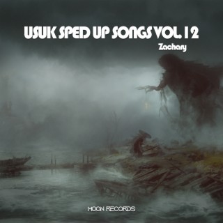 USUK SPED UP SONGS VOL.12