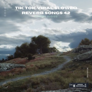 Tik Tok Viral Slowed Reverb Songs 42