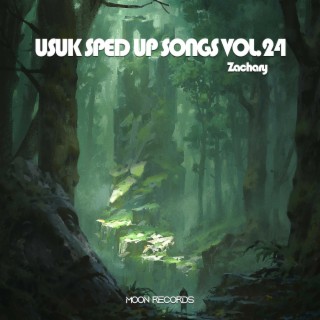 USUK SPED UP SONGS VOL.24