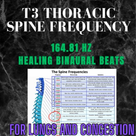 T3 Thoracic Spine Frequency (164.81 Hz) | Boomplay Music