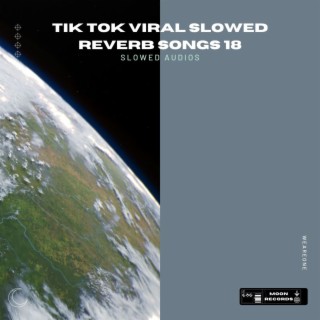 Tik Tok Viral Slowed Reverb Songs 18