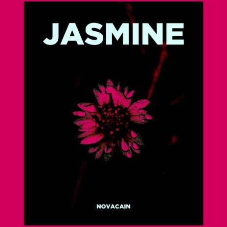 Jasmine