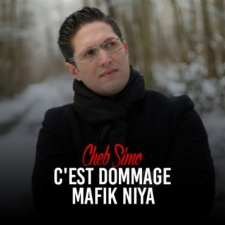 C'est Dommage Mafik Niya