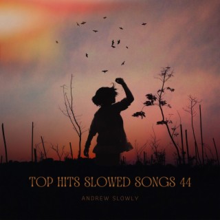 Top Hits Slowed Songs 44