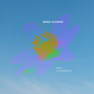 Wind Flower