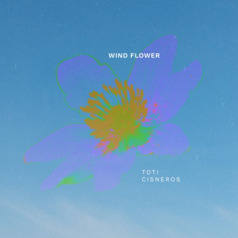 Wind Flower