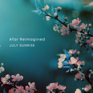 Afar Reimagined