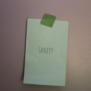 sanity lyrics | Boomplay Music