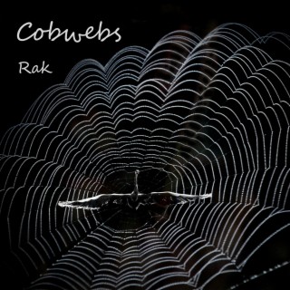 Cobwebs