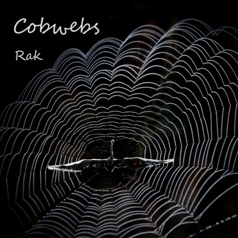 Cobwebs | Boomplay Music