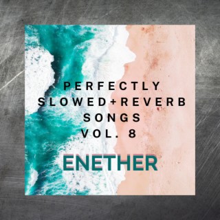 Perfectly Slowed+Reverb Songs Vol. 8