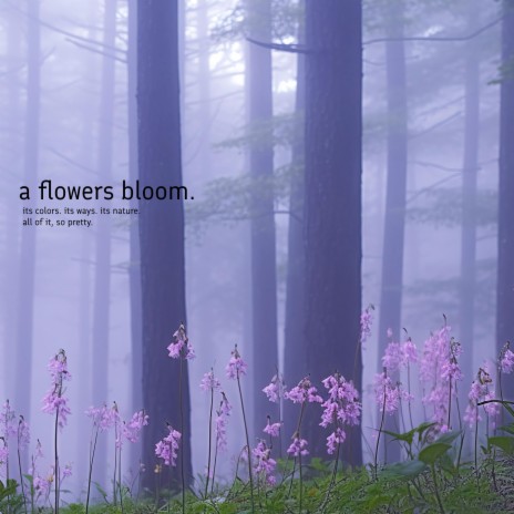 a flowers bloom | Boomplay Music