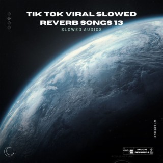 Tik Tok Viral Slowed Reverb Songs 13