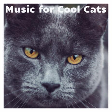 Night Time Noises ft. Calm Music for Cats & Music for Cats Peace | Boomplay Music