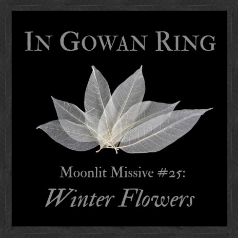 Moonlit Missive #25: Winter Flowers | Boomplay Music