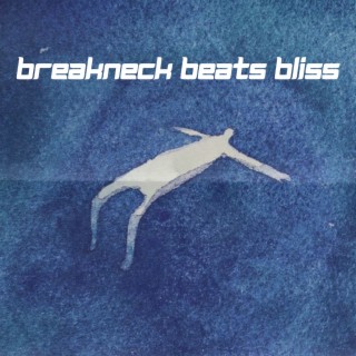 Breakneck Beats Bliss