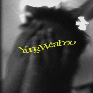 YungWeaboo