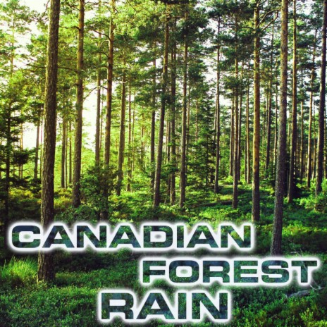 Canadian Forest Rain Ambience ft. NatGeo White Noise, NatGeo Nature Sounds & NatGeo Soundscapes | Boomplay Music