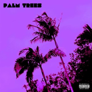 Palm Trees