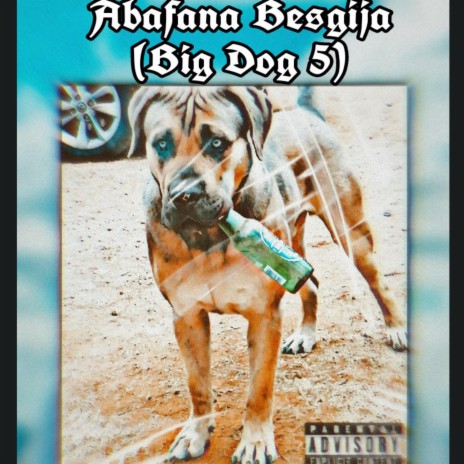 Abafana besgija (BigDog 5) ft. Vibekulture sa | Boomplay Music