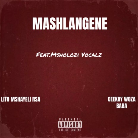 Mashlangene ft. Ceekay Woza Baba & Msholozi Vocalz | Boomplay Music