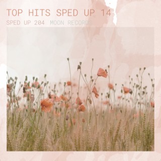 TOP HITS SPED UP 14 (Sped Up)
