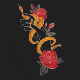 Snakes And Roses (Piano Concerto In F Minor)