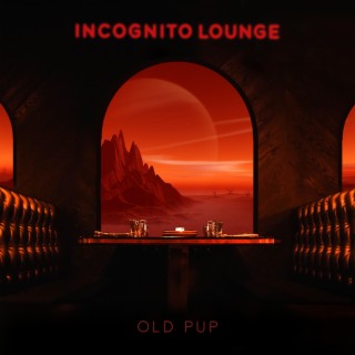 Incognito Lounge