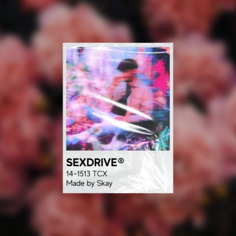 SEXDRIVE | Boomplay Music