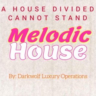 House Divied Cannot Stand Melodic House