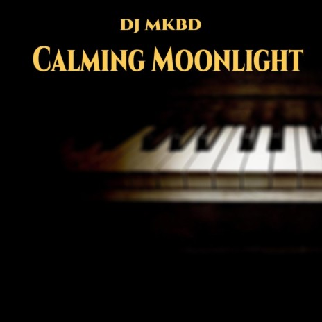 Calming Moonlight | Boomplay Music