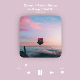 Slowed + Reverb Songs to Sleep to Vol.14