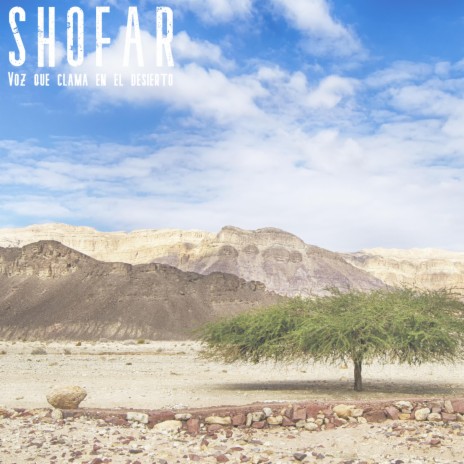 Voz que clama en el desierto | Boomplay Music