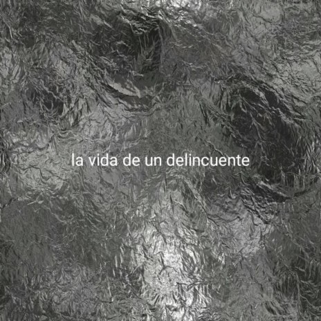 La vida de un delincuente | Boomplay Music